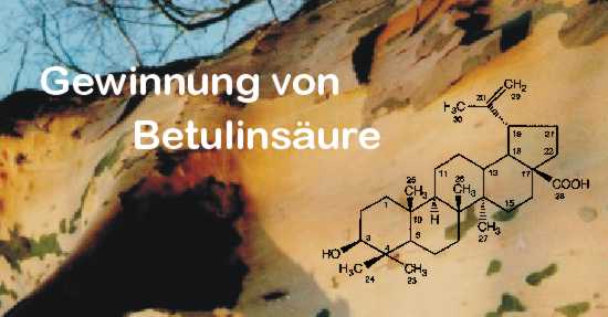 Betulinsure