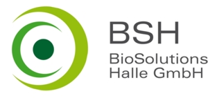 Logo BSH